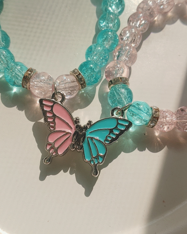 Twin Butterflies Connection