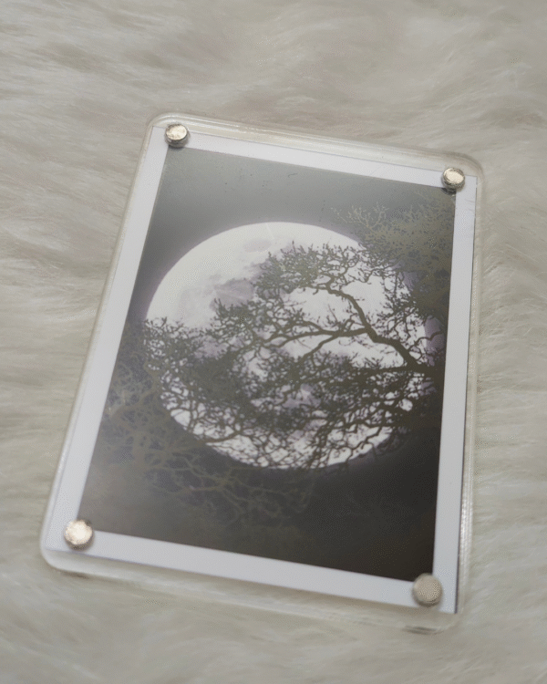 Polaroid Fridge Magnet