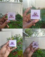 Box Polaroid Fridge Magnet