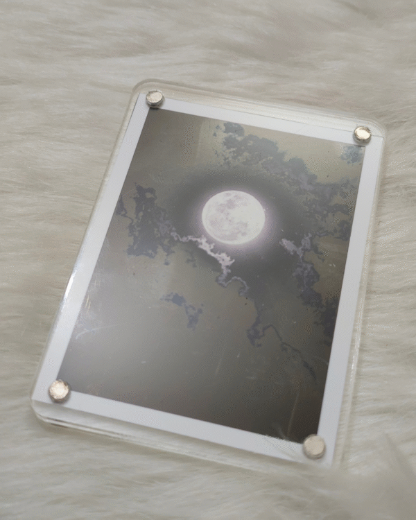 Polaroid Fridge Magnet