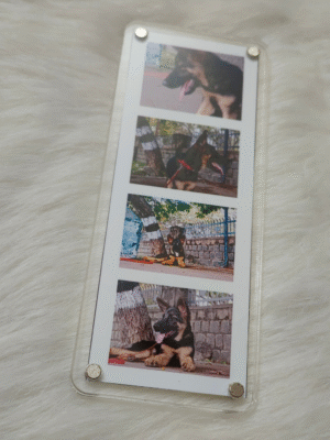 Photo Strip Fridge Magnet