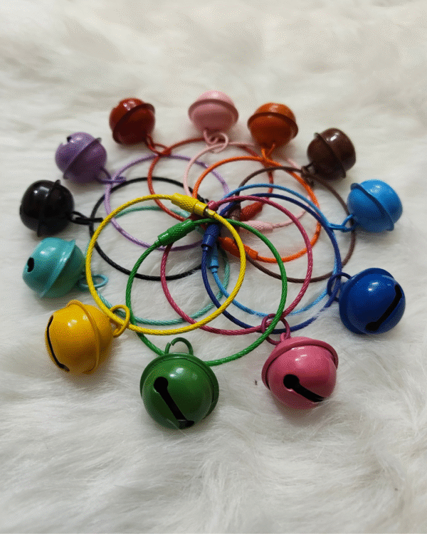 Big Ghungroo Wire Rope Keychain