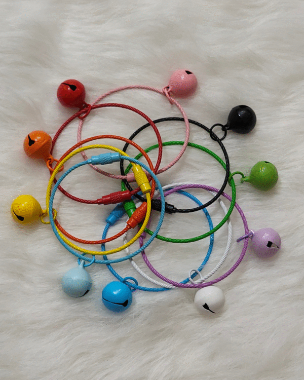 Small Ghungroo Wire Rope Keychain